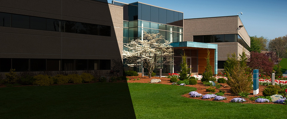 Union Springs Landscapers