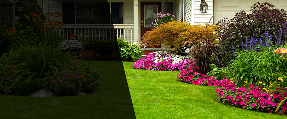 Union Springs Landscapers
