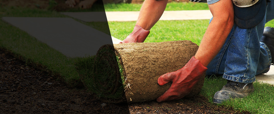 Union Springs Landscapers